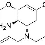 Oseltamivir Impurity 106 CAS#: 196618-13-0106
