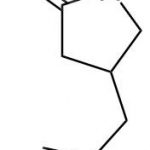 Pregabalin Impurity 45 CAS#: 61312-87-6