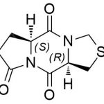 Pidotimod Impurity Y CAS#: 161771-76-2