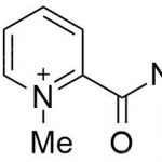 Pralidoxime Chloride Impurity3 CAS#: 45750-74-1