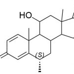 Prednisone Impurity A CAS#: 53 -78-01