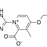 Rabeprazole Impurity 19 CAS#: 117976-89-319