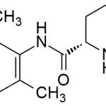 Ropivacaine EP Impurity B CAS#: 27262-40-4