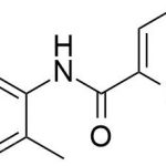 Ropivacaine Impurity 47 CAS#: 84057-95-447