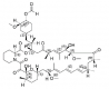 Structure of Everolimus EP Impurity E CAS 159351-69-65