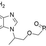 Tenofovir impurity 98 CAS#: 107021-20-5