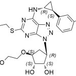 Ticagrelor ناپاکی 120 CAS#: 274693-27-5120