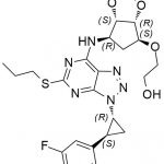 Ticagrelor अशुद्धता 134 CAS#: 274693-27-5134