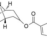 N - hydroxy Tropisetron Impurity 2 CAS#: 89565-68-42
