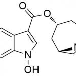 Tropisetron Impurity 3 CAS#: 89565-68-43