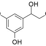 テルブタリン不純物10CAS＃：23031-25-610