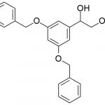 Pengotor Terbutaline 11 CAS#: 23031-25-611