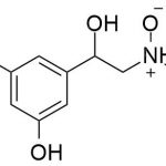 টেরবুটালাইন এন-অক্সাইড CAS#: 23031-25-60