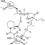 Tacrolimus Impurity 6 CAS#: 144490-63-1
