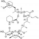 Tacrolimus 21-Carboxy Acid CAS#: 104987-11-321