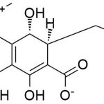 Tigecycline USP Impurity A CAS#: 1138343-10-8