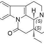 Vinpocetine impurity 23 CAS#: 4880-88-0