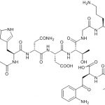 Daptomycin Lactone-Open-Ring Impurity CAS#: 121869-35-01