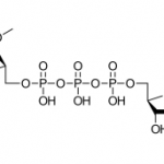 Structure of ARCA Cap Analog CAS 400806-46-4