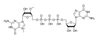 Structure of ARCA Cap Analog CAS 400806-46-4