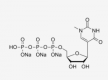 Structure of N1-methyl-pseudouridine 5'-triphosphate (UTP), trisodium salt Solution
