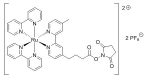 Structure of TAG-NHS-Ester CAS 161698-59-5
