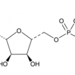 α,β-亞甲基腺苷 5'-三磷酸（鈉鹽）的結構 CAS 1343364-54-4