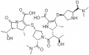 Structure of Meropenem Impurity B CAS 166901-45-7