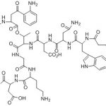 Daptomycin Impurity 2 CAS#: 103060-53-320076002