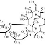 Erythromycin C Oxime CAS#: 114-07-81001026