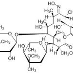 Eritromisin F Oksim CAS #: 114-07-81001028