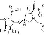 Meropenem PHN Impurity CAS#: 119478-56-73004007