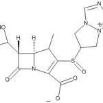 Biapenem Oxide Impurity CAS#: 120410-24-43001010