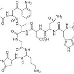 Daptomycin Impurity 1 CAS#: 121869-35-0