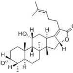 Fusidic Acid Impurity J(EP) CAS#: 13011-12-6