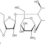 Neomycin Impurity F(EP) CAS#: 1404-04-29001005