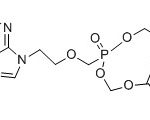 Adefovir Dipivoxil CAS #: 142340-99-66004002