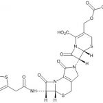 Cephalothin Polymer Impurity 1 CAS#: 153-61-727011