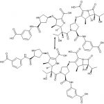 厄他培南二聚體 I+II CAS#: 153832-46-33006001