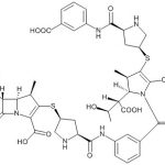 Ertapenem-Dimer Ⅲ CAS-Nr.: 153832-46-33006003