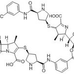 Ertapenem Dimero V N. CAS: 153832-46-33006005