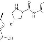 Ertapenem Impurity A (USP) CAS#: 153832-46-33006011