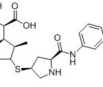 Ertapenem-Verunreinigung C (USP) CAS-Nr.: 153832-46-33006013