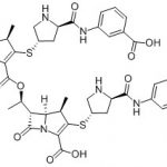 Ertapenem Dimero JF N. CAS: 153832-46-33006037