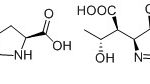 Ertapenem Open-Ring Impurity CAS#: 153832-46-33006038