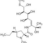Lincomycin Impurity 1 CAS#: 154-21-21009021