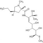 Lincomycin Impurity 2 CAS#: 154-21-21009022