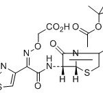 Cephalexin Impurity F CAS#: 15686-71-223007