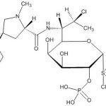 Clindamycin Phosphate Dioxide Impurity 1 CAS#: 24729-96-21006019