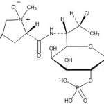 Clindamycin Phosphate Oxide Impurity 3 CAS#: 24729-96-21006020
